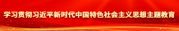 看日屌操逼视频学习贯彻习近平新时代中国特色社会主义思想主题教育